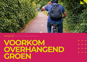 Een kwestie van fatsoen.Voorkom overhangend groen.