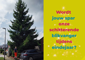 Gezocht: dé blikvanger voor het Gemeenteplein. Geef jouw boom een tweede leven als kerstboom!