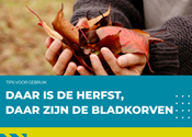 Help het openbaar domein bladvrij te houden met de bladkorven.