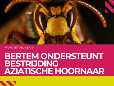 Toelage voor bestrijding Aziatische hoornaar