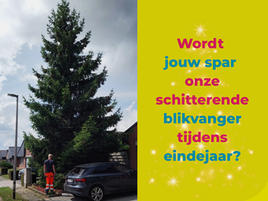 Kerstboom voor Gemeenteplein gezocht