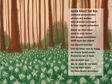 Lente kleurt het bos