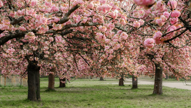 foto: Hoofdafbeelding
