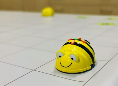 foto: Bee-bot
